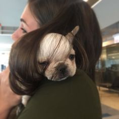 Winnie Frenchiepooh