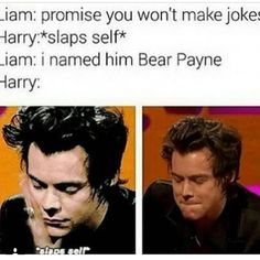 Bear Payne