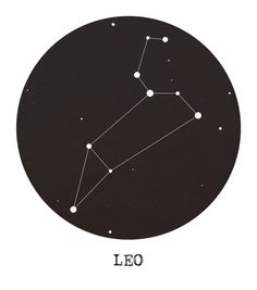 Leo Staar