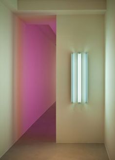 Robert Irwin