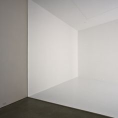 Robert Irwin