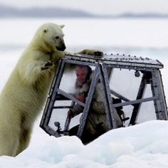 Gordon Buchanan