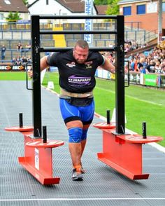 Terry Hollands