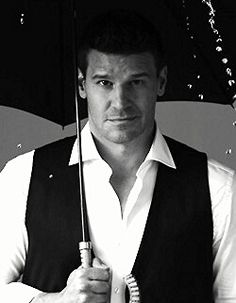 David Boreanaz