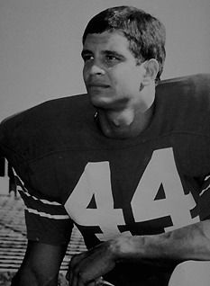 Ed Marinaro