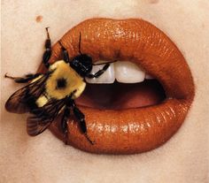 Irving Penn