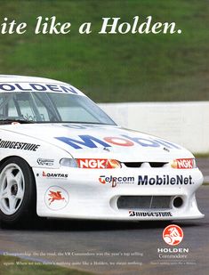 Mark Skaife