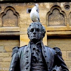 Matthew Flinders