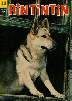 Rin Tin Tin