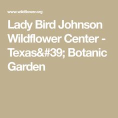 Lady Bird Johnson