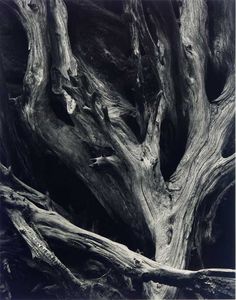 Ansel Adams