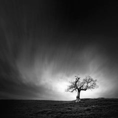 Andy Lee