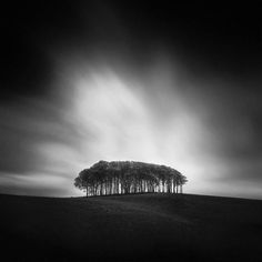 Andy Lee