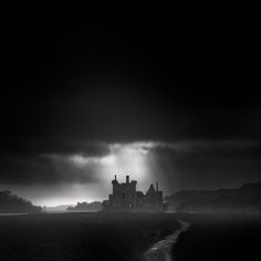 Andy Lee