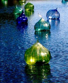 Dale Chihuly