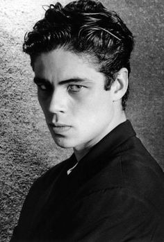 Benicio Del Toro