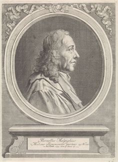 Marcello Malpighi