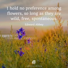 Edward Abbey