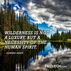 Edward Abbey