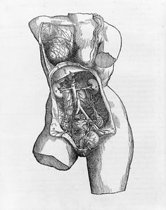 Andreas Vesalius