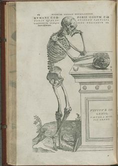 Andreas Vesalius