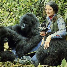 Dian Fossey