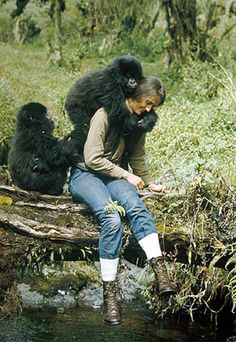 Dian Fossey