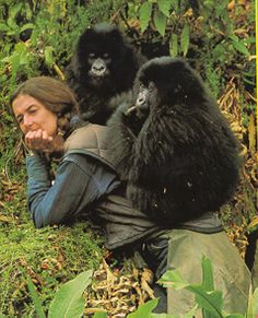 Dian Fossey