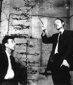 Francis Crick