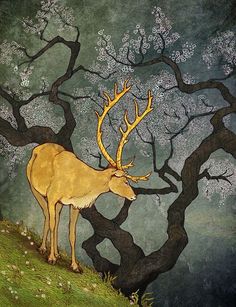 Hind Deer