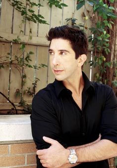 David Schwimmer