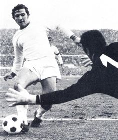 Dino Zoff