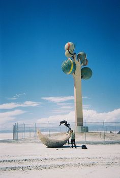 Elijah Berle