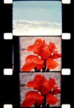 Jonas Mekas