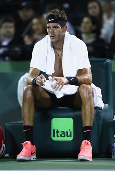 Juan Martin del Potro