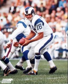 Roman Gabriel