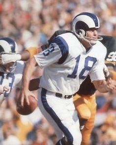 Roman Gabriel