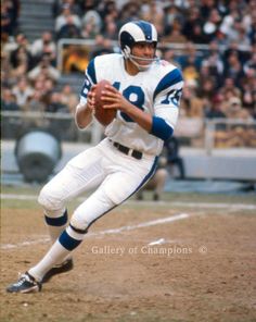 Roman Gabriel