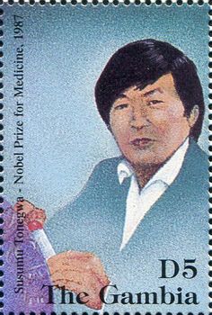 Susumu Tonegawa