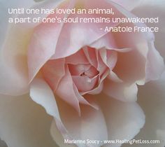 Anatole France