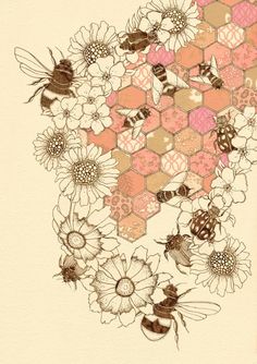 HoneyBee