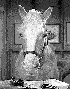 Mister Ed