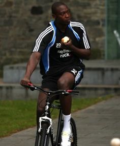 Shola Ameobi