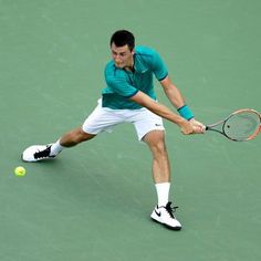 Bernard Tomic