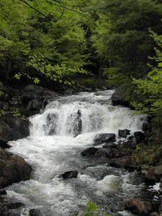 Brooke Falls