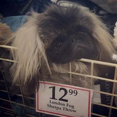 Guher Pekinel