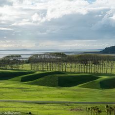 Maya Lin