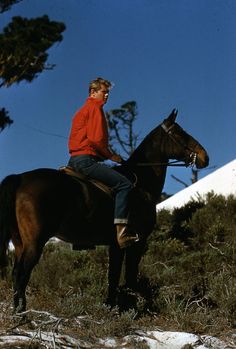 Troy Donahue