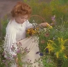 Anne Shirley