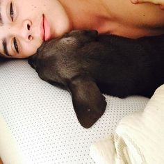 Hayes Grier